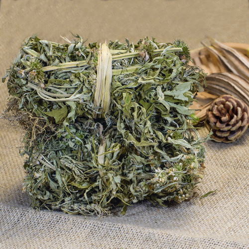 益母草中药材野生益母草茶泡水炖汤泡脚女人调理姨妈新鲜晒干包邮 - 图0