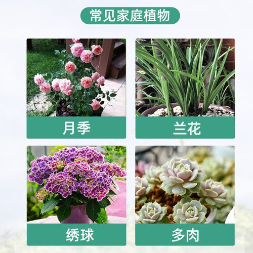 千百季小白颗粒型一次施用两个月持效期预防植物长虫 - 图2