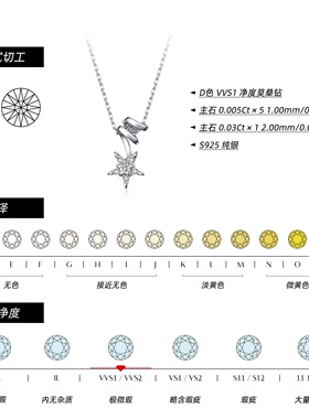 VVS1莫桑石S925银闪耀星星项链