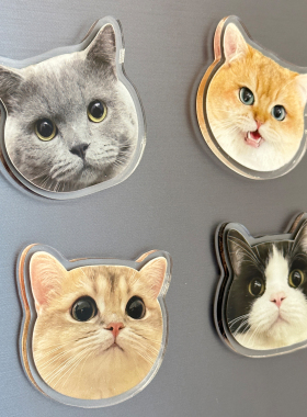 亚克力冰箱贴照片定制小狗狗猫咪diy宠物磁贴磁铁吸3d立体装饰品