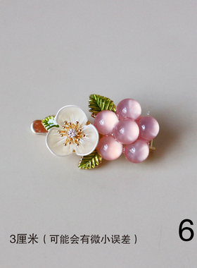 泛思新款彩色花朵小磁吸夹边夹发夹（全场任意两件包邮）