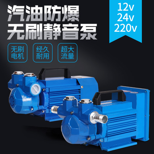 汽油泵12V24V防爆抽油泵220V车载加油机汽油甲醇乙醇溶剂油自吸泵 - 图0