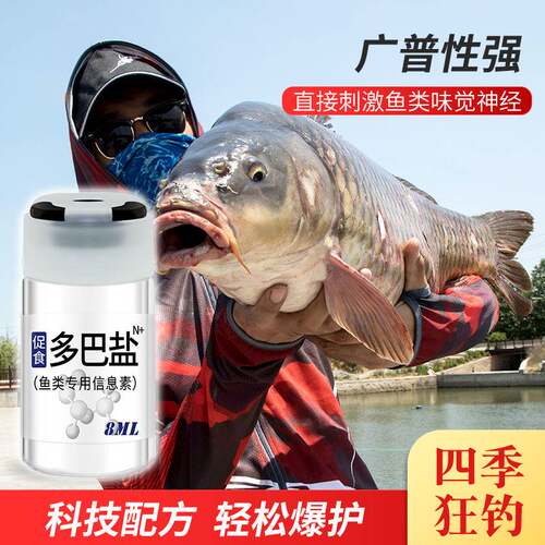 三分钟开口！多巴盐钓鱼小药野钓黑坑鲫鱼鲤鱼诱鱼剂鱼饵配方大全-图1