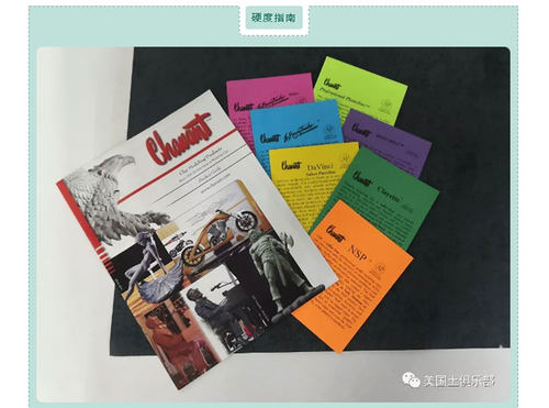 美国土DAVINCI达芬奇油泥Chavant传统意大利雕塑模型粘土NSP油泥 - 图2