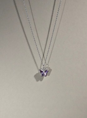 紫色水晶高级感锁骨链颈链细蛇链