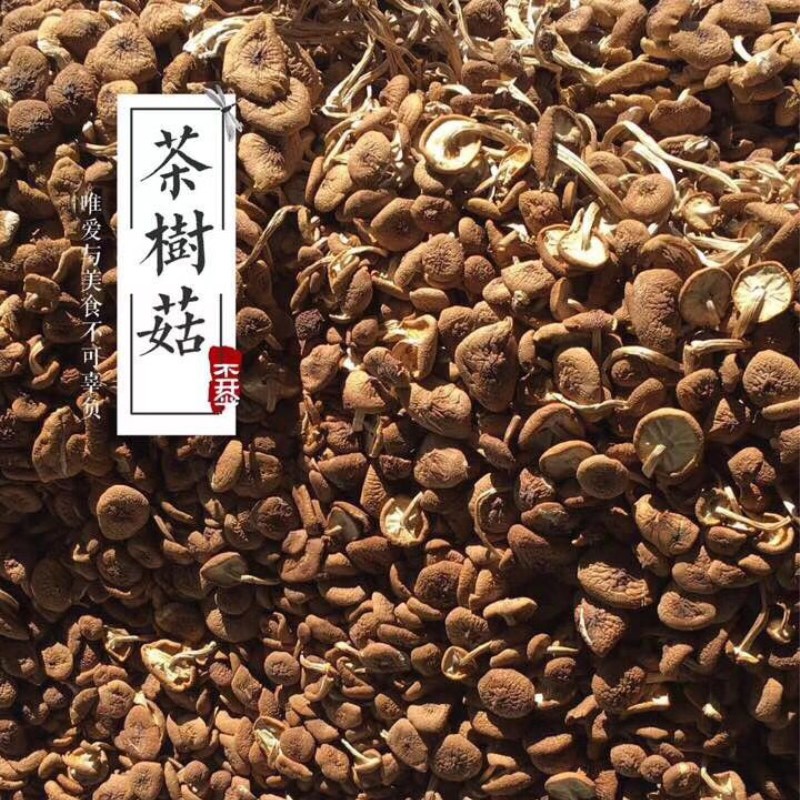 新货不开伞茶树菇干货500g包邮河南特产农家手选无硫新菇香菇新鲜