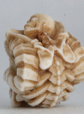 羊角骷髅恶灵骨质三通手串尸陀林