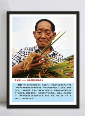 名人伟人装饰画袁隆平黄旭华孙家栋于敏钟南山革命精神人物壁挂画