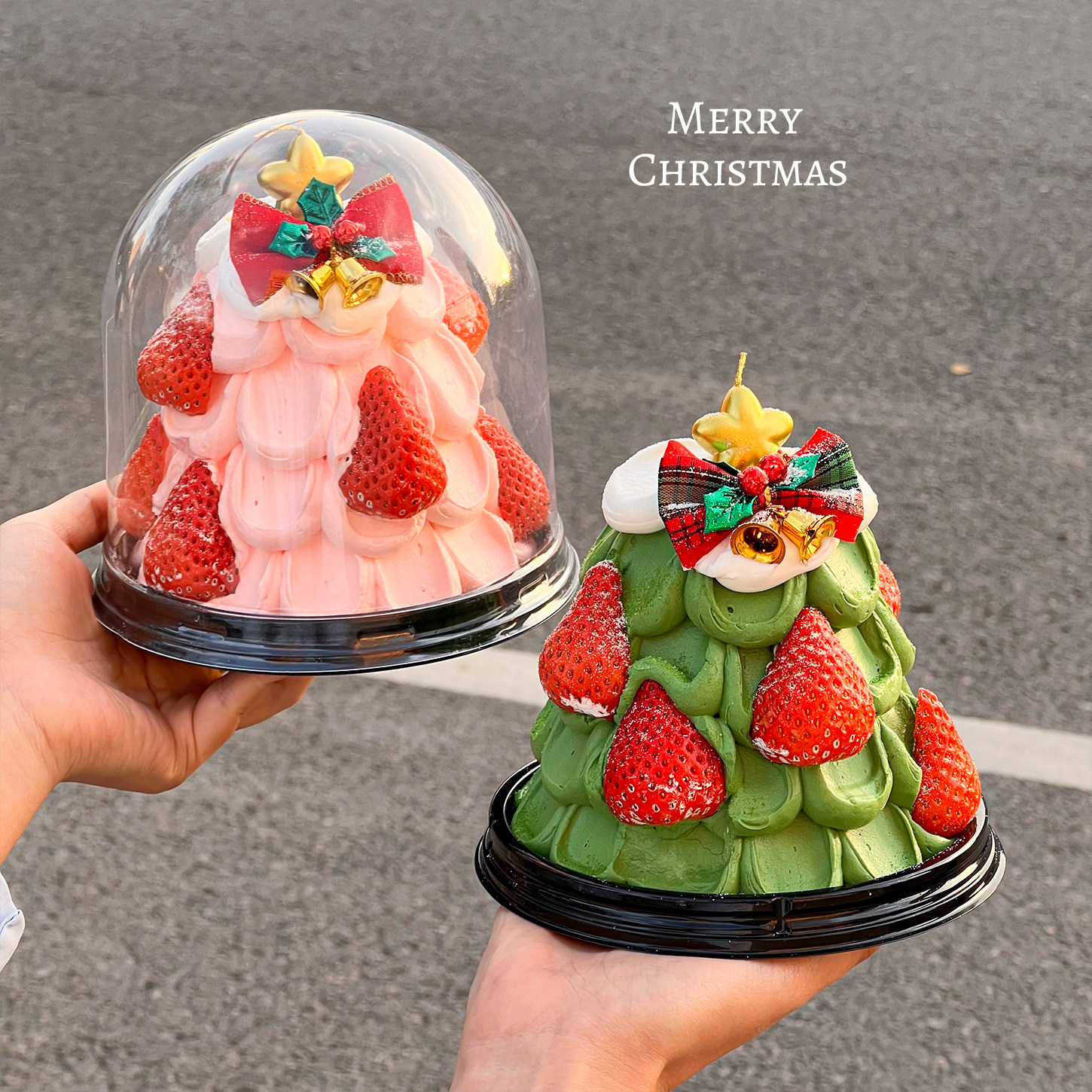 2026圣诞节4寸圣诞树蛋糕装饰透明圆形包装蝴蝶结铃铛甜品打包盒,淘宝优惠券,粉丝福利购,淘宝优惠卷