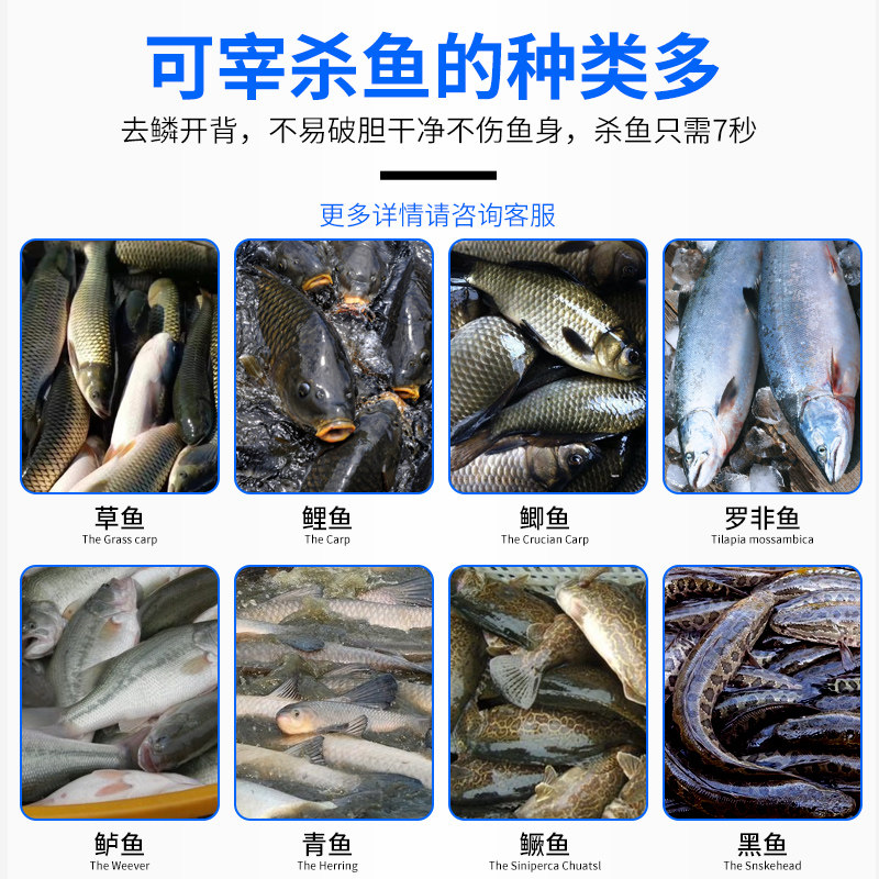 旭众杀鱼机商用全自动多功能开肚去鱼鳞杀鱼神器自动开背杀鱼机器_虎窝淘