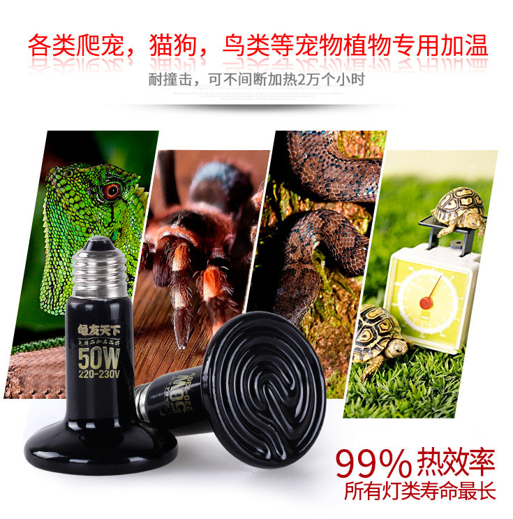 爬虫养龟用品陶瓷加热灯水龟蜥蜴蜘蛛蛇陆龟保温灯宠物保暖发热灯,淘宝优惠券,粉丝福利购,淘宝优惠卷