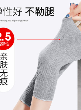 彩棉护膝新疆棉花透气宽松护腿袜