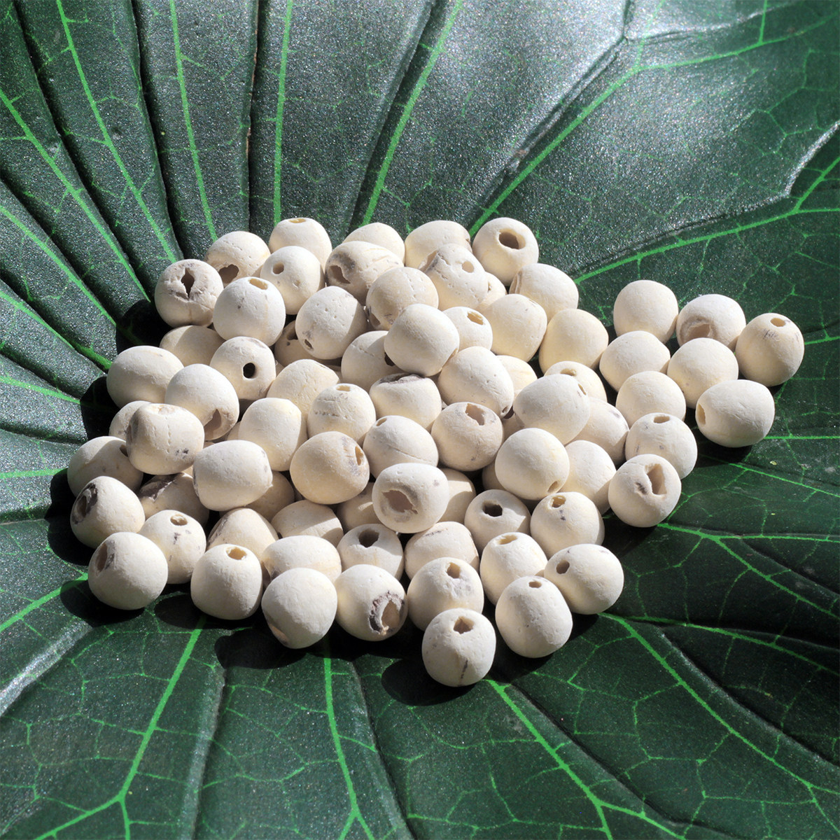 真空2斤无硫25年洪湖特产干莲子精选大颗粒磨皮穿心白莲去芯粉糯,淘宝优惠券,粉丝福利购,淘宝优惠卷