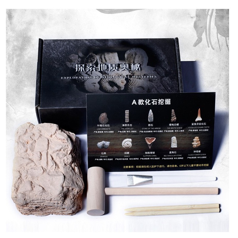 考古挖掘盲盒古生物天然化石原石头地质科普教学标本儿童寻宝手工,淘宝优惠券,粉丝福利购,淘宝优惠卷