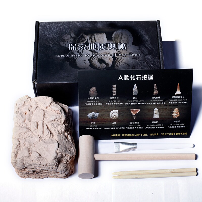 考古挖掘盲盒古生物天然化石原石头地质科普教学标本儿童寻宝手工,淘宝优惠券,粉丝福利购,淘宝优惠卷