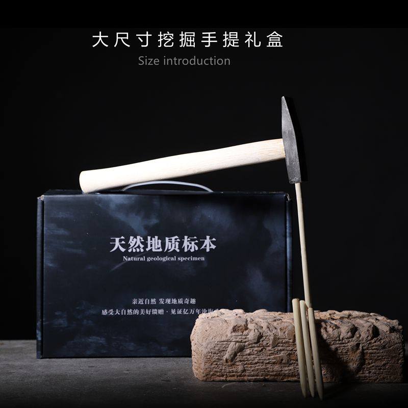考古挖掘盲盒古生物天然化石原石头地质科普教学标本儿童寻宝手工,淘宝优惠券,粉丝福利购,淘宝优惠卷