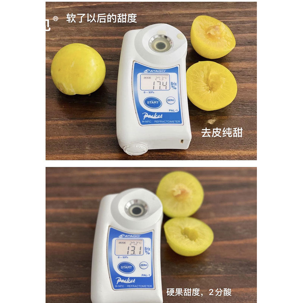 池见  四川汉源桃花李冰糖李软汁桃花布林李子黄金李大新鲜水果,淘宝优惠券,粉丝福利购,淘宝优惠卷