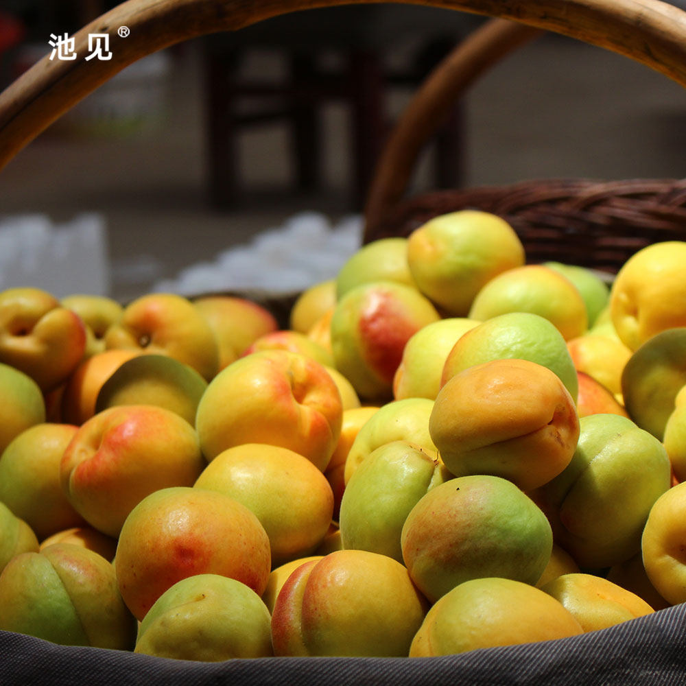 池见当季新鲜水果现摘现发陕西凝香小黄甜杏蜜杏子杏香浓郁30枚装,淘宝优惠券,粉丝福利购,淘宝优惠卷