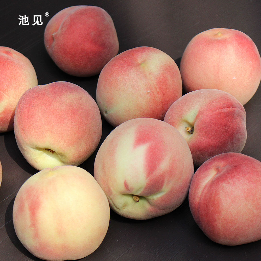 池见 山西秋雪离核脆桃当季新鲜水果桃子现摘现发嘎嘣脆清脆爽口,淘宝优惠券,粉丝福利购,淘宝优惠卷