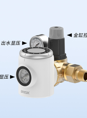 倍瑞康T4YC反冲洗前置过滤器全屋净水器316L不锈钢滤网自来水过滤