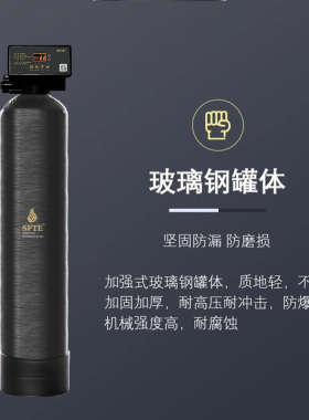 斯芙特SFTE玄武系列中央软水机适用商业别墅去除水垢3吨4吨软水