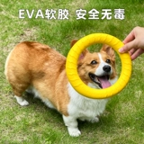 Собака летающая тарелка corki shiba di doug dog dog dog dog special commest traint trainting mask mask dog dog toy