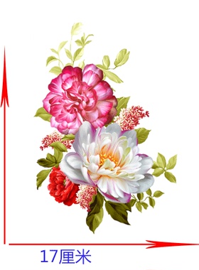 家具改造贴上海大盟水移画水转印专用橱柜家具瓷砖可订制量大优惠