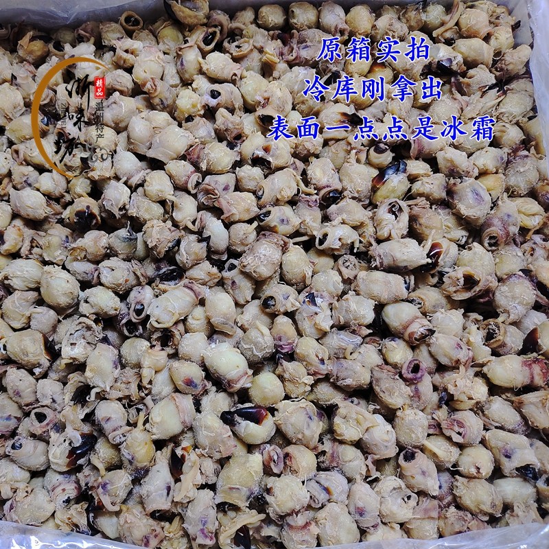 温州特产大墨鱼嘴章鱼乌贼目鱼鱿鱼嘴海产干货500克商用食材包邮,淘宝优惠券,粉丝福利购,淘宝优惠卷