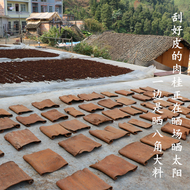 广西高山无硫肉桂桂皮卤肉香料调料大全调味佐料 250g包邮-图2