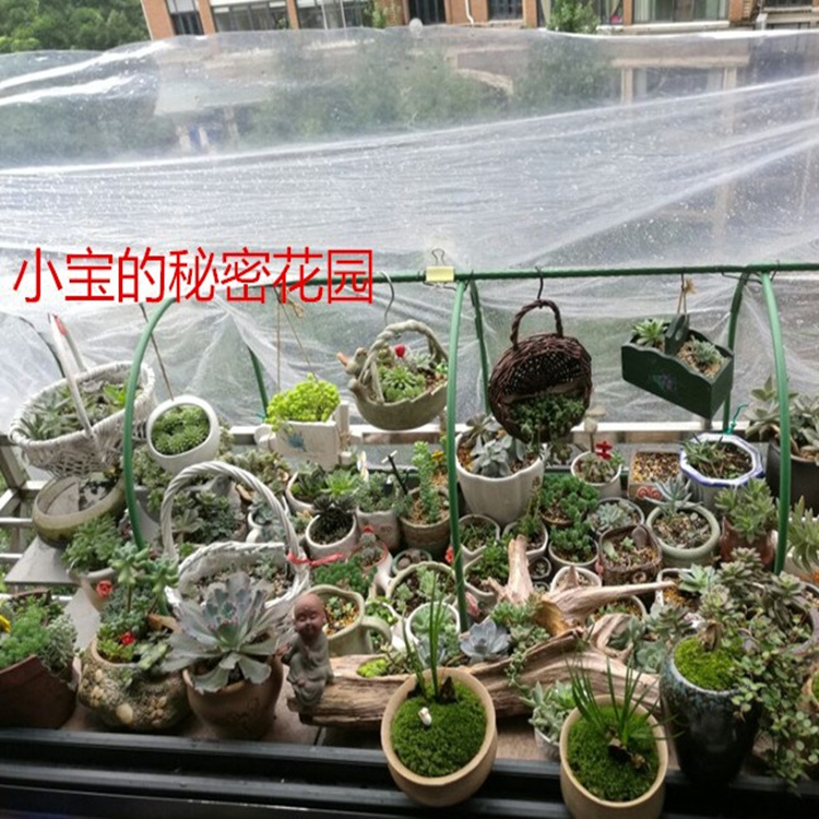 家庭园艺用小型 果蔬 多肉花卉植物过冬暖房暖棚遮雨遮阳棚骨架 - 图1