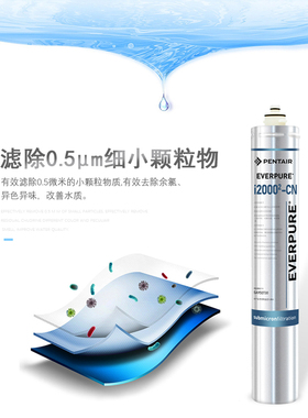 爱惠浦I20002-CN滤芯i2000(2) EVERPURE防伪查询EV9612-22