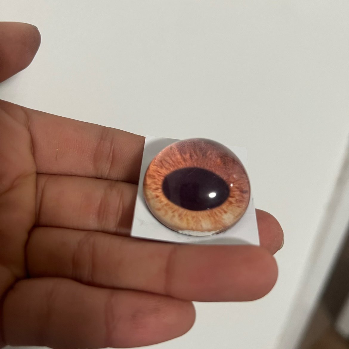 写实牛兽头兽装标本玩偶半球玻璃眼睛毛毡动物圆瞳仿真眼捏捏福瑞,淘宝优惠券,粉丝福利购,淘宝优惠卷