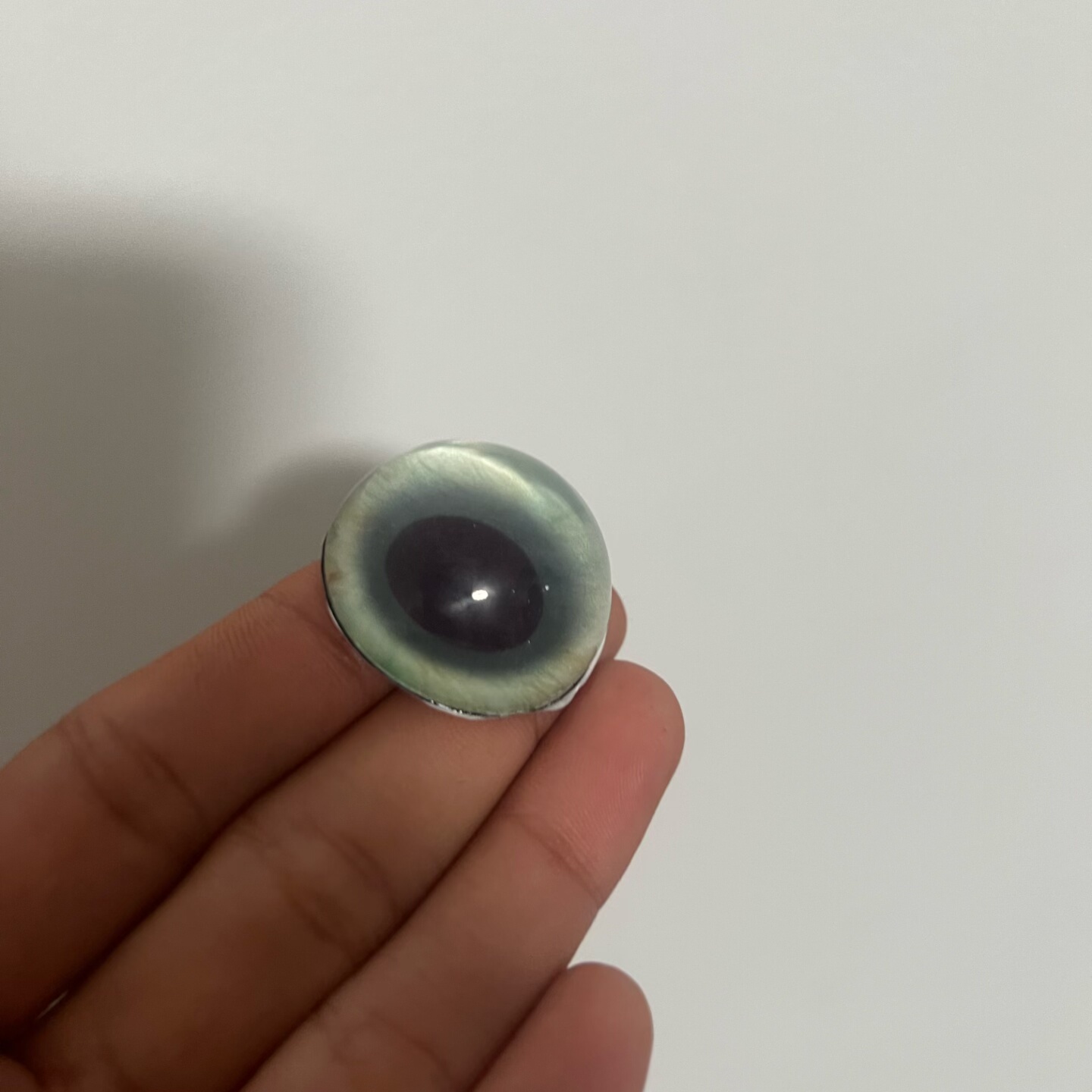 猫圆瞳孔兽头兽装玩偶半球玻璃眼睛毛毡动物圆瞳仿真扭扭棒福瑞,淘宝优惠券,粉丝福利购,淘宝优惠卷