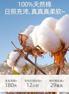洗脸式全棉加大卷筒棉巾现货干