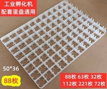 Thickened Plastic 88 Small Chicken Fry Egg Pan Hatching Egg Nursery Fresh Fully Automatic Hatching Machine Pigeon Duck Goose Egg Pan