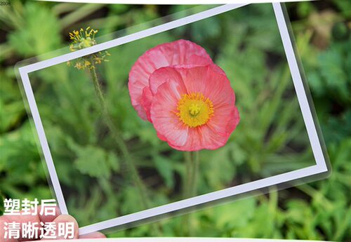 惠标准3寸塑封膜5丝8丝10丝12.5丝15丝25丝护卡膜照片过胶纸打孔 - 图2