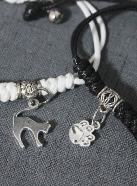 二哈墨燃师尊楚晚宁和他的白猫