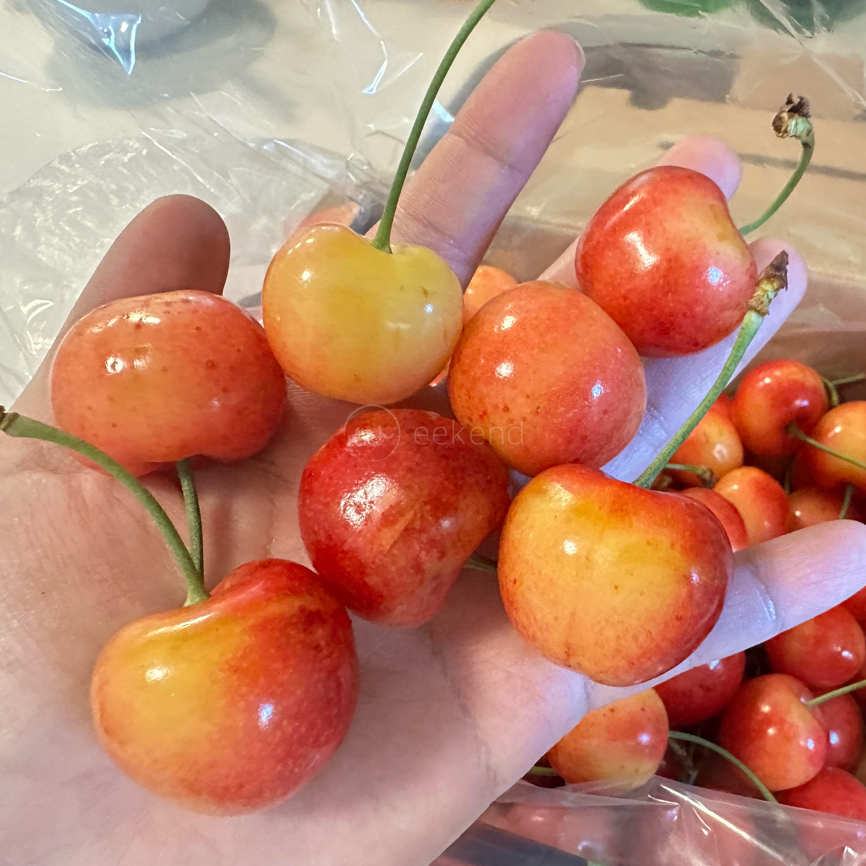 现货智利进口雷尼尔黄金车厘子新鲜水果4JJJJ黄色大樱桃2斤礼盒,淘宝优惠券,粉丝福利购,淘宝优惠卷