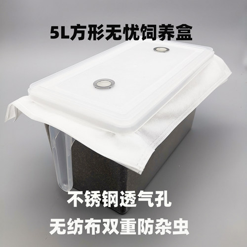 甲虫饲养罐独角仙成虫幼虫饲养盒大兜虫锹甲锹形虫爬宠昆虫饲养盒 - 图0