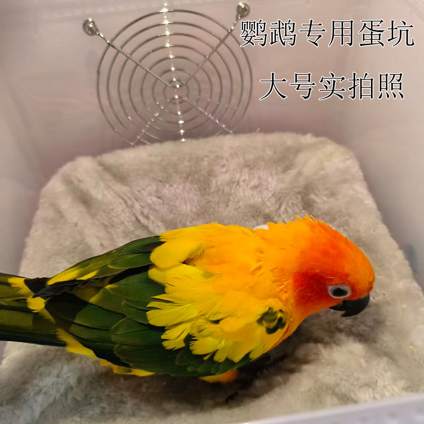 鹦鹉繁殖箱专用单坑保温暖防咬鸟窝过冬孵化鸟窝防滑蛋窝牡丹玄风,淘宝优惠券,粉丝福利购,淘宝优惠卷