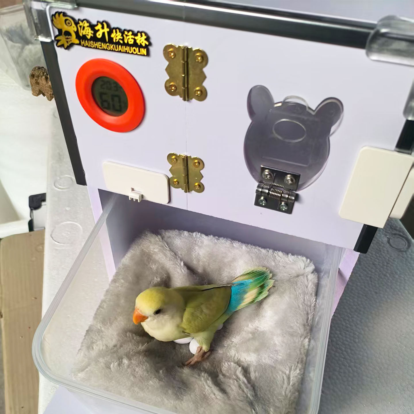 鹦鹉繁殖箱加热保温通风竖式鸟窝可观察虎皮牡丹防咬带抽屉控制温,淘宝优惠券,粉丝福利购,淘宝优惠卷