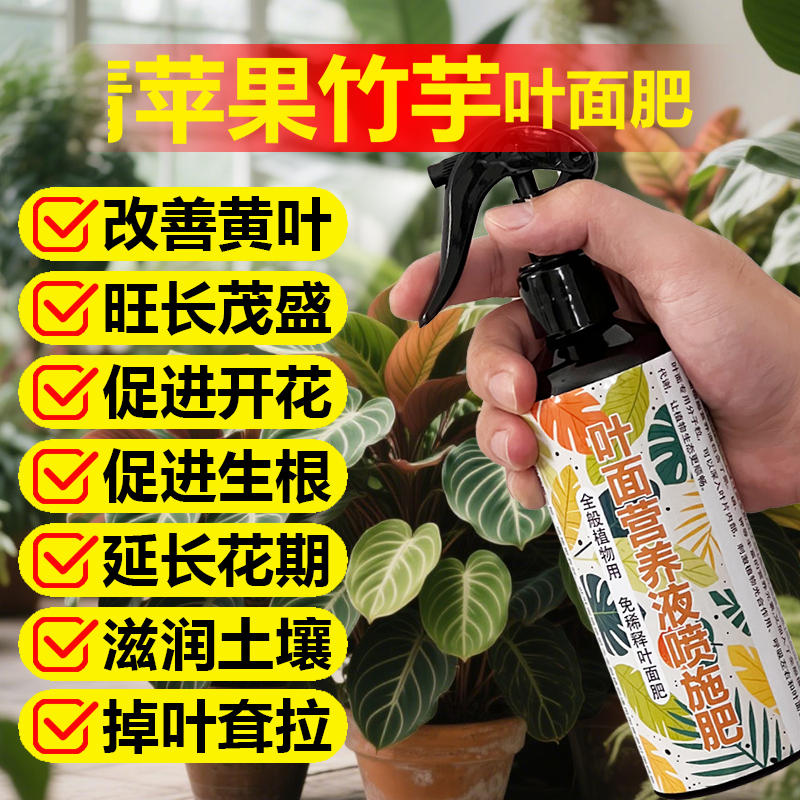 青苹果竹芋专用肥料养殖盆栽土培水培养护营养液叶面肥水溶化肥料 - 图0