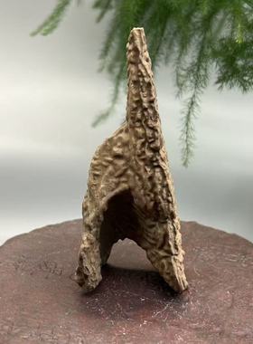 新疆戈壁滩天然奇石花盆鱼缸造景