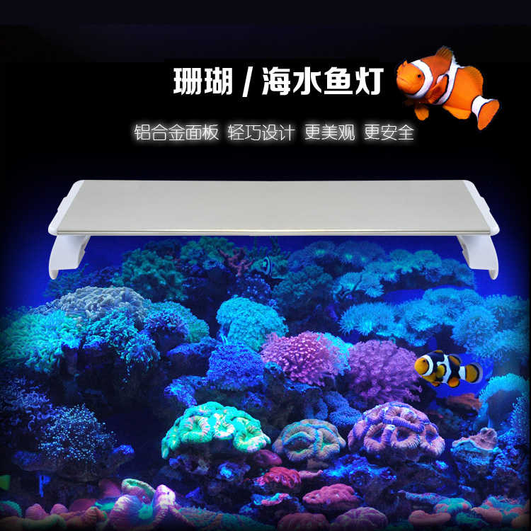海水魚燈 新人首單立減十元 22年10月 淘寶海外