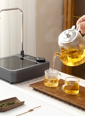 自动上水电陶炉抽水茶炉煮茶器煮茶炉智能烧水泡茶专用养生煮茶壶