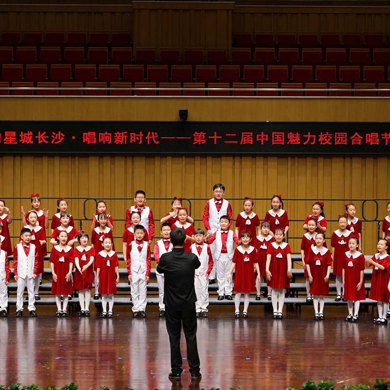 六一儿童合唱服装演出服男女童礼服中小学生表演朗诵纱裙大合唱团