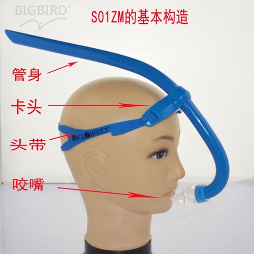 BIGBIRD游泳呼吸管呼吸器游训练专用正面呼吸管学游泳吸管换气管 - 图0
