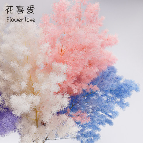 花喜爱 永生花白色蓬莱松仿真花手工diy干花仿真鲜花花束包装材料 - 图1