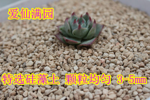 促销优选级硅藻土1.1L散装多肉植物种植用土营养介质铺面装饰 - 图3