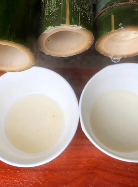 新鲜竹筒提取纯天然原液直饮